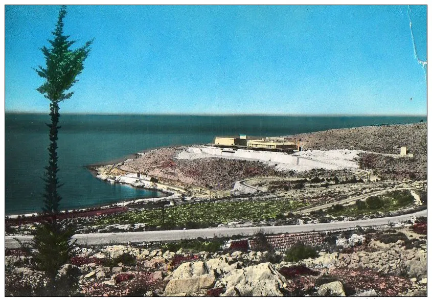 Hand-tinted postcard of a coastal road curving past a lone cypress toward a seaside compound